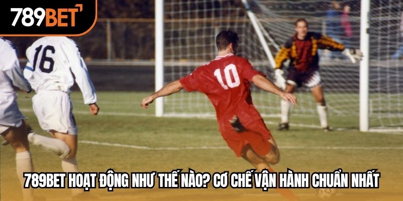789bet hoạt động như thế nào