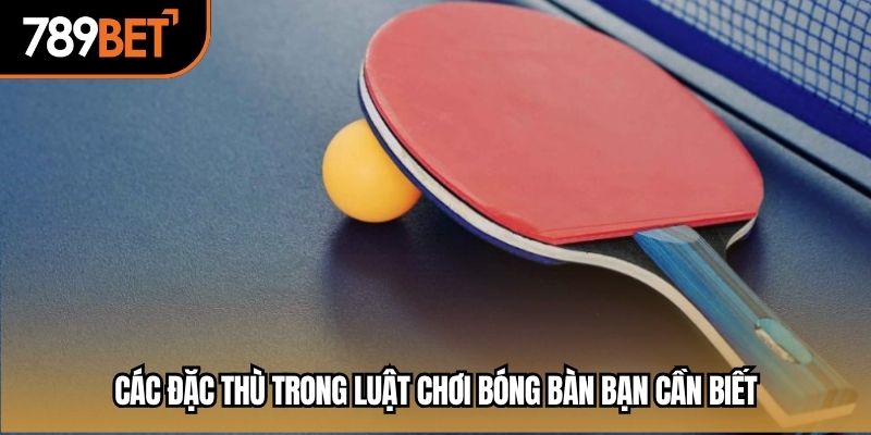 Các đặc thù trong luật chơi bóng bàn bạn cần biết