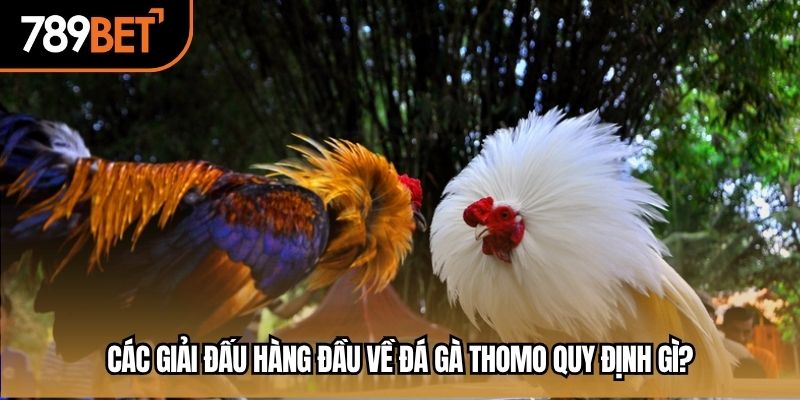 Các giải đấu hàng đầu về đá gà thomo quy định gì?