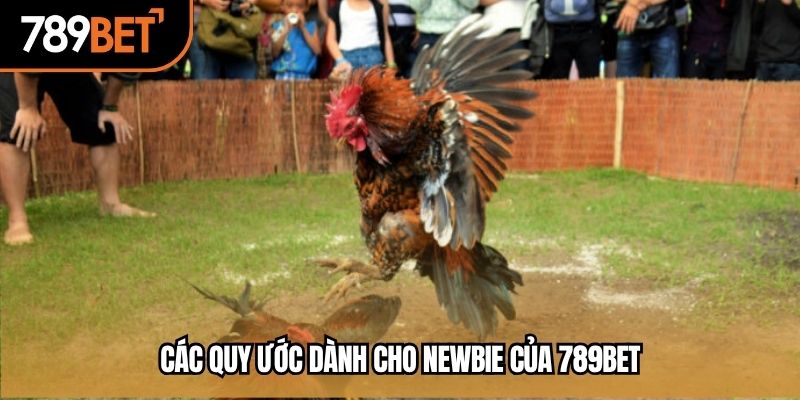 Các quy ước dành cho newbie của 789BET