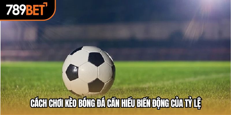 Cách chơi kèo bóng đá cần hiểu biến động của tỷ lệ
