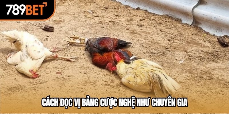 Cách đọc vị bảng cược nghệ như chuyên gia