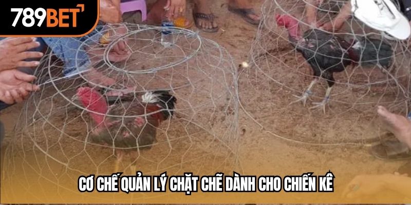 Cơ chế quản lý chặt chẽ dành cho chiến kê