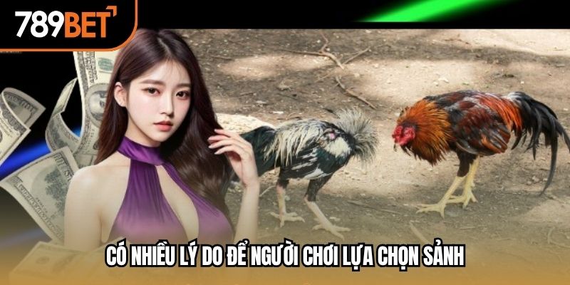 Có nhiều lý do để người chơi lựa chọn sảnh