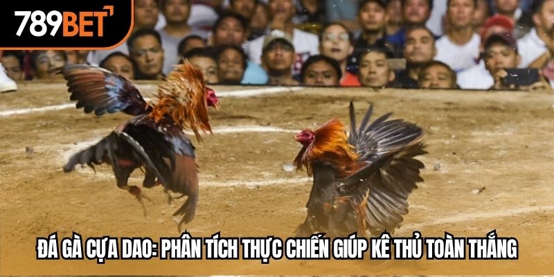 đá gà cựa dao