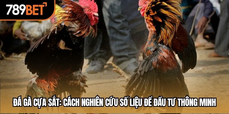 đá gà cựa sắt