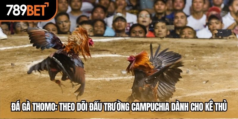 đá gà thomo