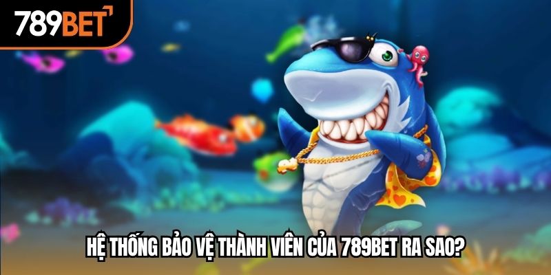 Hệ thống bảo vệ thành viên của 789BET ra sao?