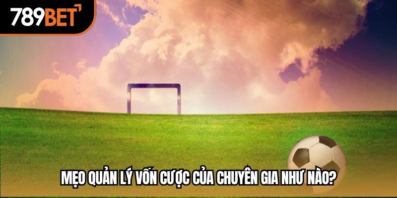 Mẹo quản lý vốn cược của chuyên gia như nào?