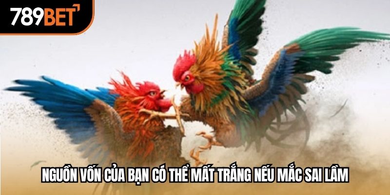 Nguồn vốn của bạn có thể mất trắng nếu mắc sai lầm