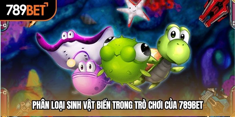 Phân loại sinh vật biển trong trò chơi của 789BET
