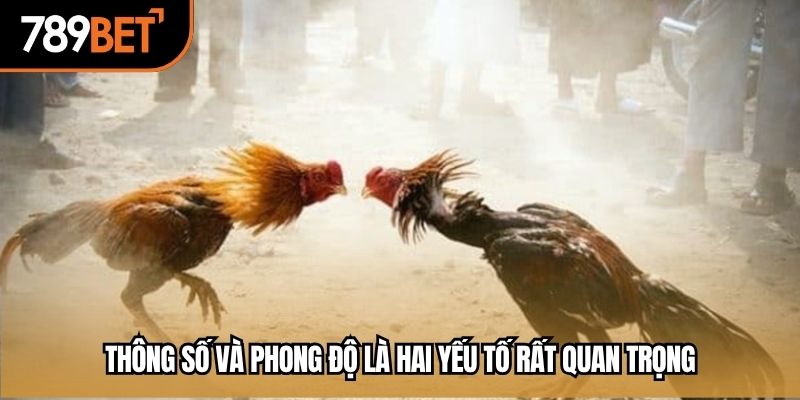 Thông số và phong độ là hai yếu tố rất quan trọng