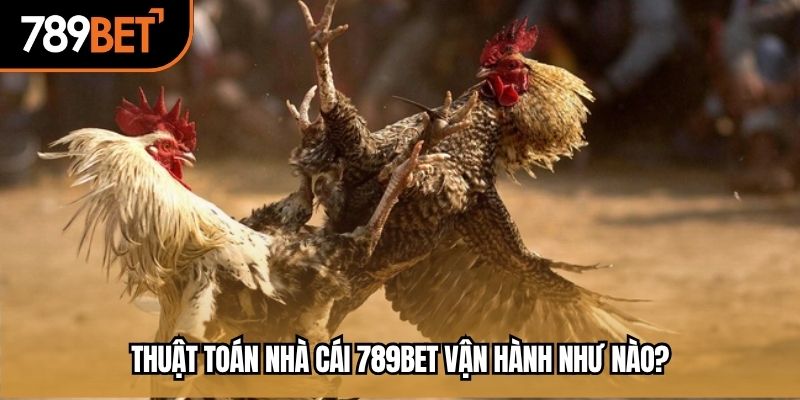 Thuật toán nhà cái 789BET vận hành như nào?