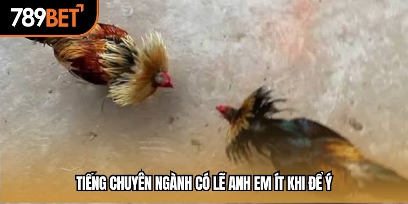 Tiếng chuyên ngành có lẽ anh em ít khi để ý