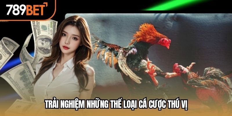 Trải nghiệm những thể loại cá cược thú vị